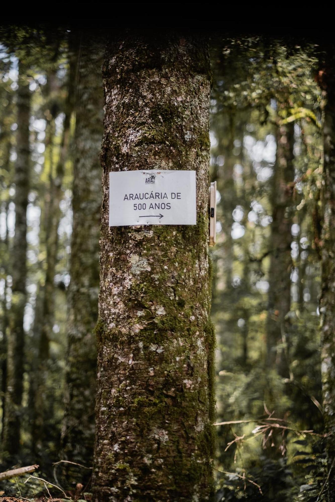 Arau Cabana Cheiro De Mato Flores da Cunha Buitenkant foto
